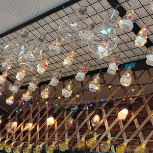 透明灯球 (13).jpg